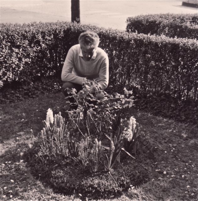 Ghislain is een bloemenfluisteraar. En het werkt hoor! Ons perkje komt elk jaar braaf terug in bloei.